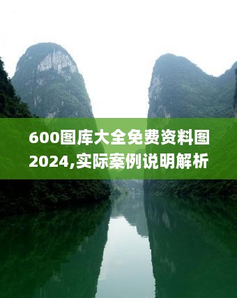 600图库大全免费资料图2024,实际案例说明解析_UVB1.35.82荣耀版