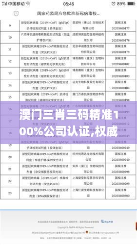 澳门三肖三码精准100%公司认证,权威解答效果解析_CWP5.80.82珍藏版