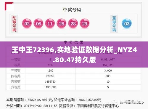 王中王72396,实地验证数据分析_NYZ4.80.47持久版