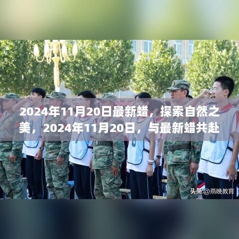 2024年11月20日，探索自然之美，与最新蜡共启心灵之旅