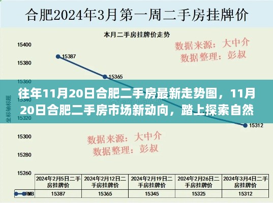 11月20日合肥二手房市场动态与自然探索之旅的内心平静之旅