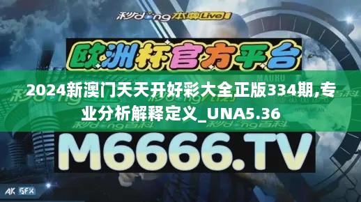 2024新澳门天天开好彩大全正版334期,专业分析解释定义_UNA5.36