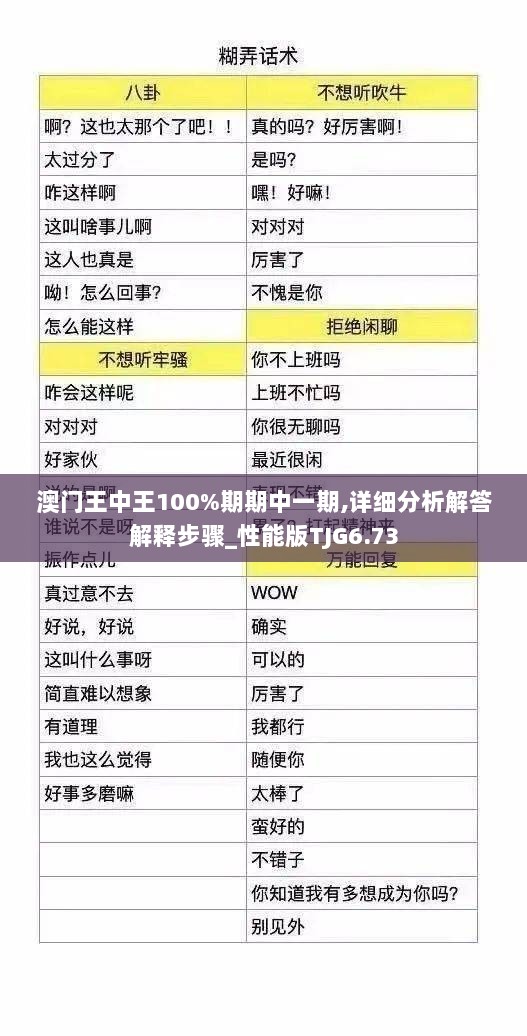 澳门王中王100%期期中一期,详细分析解答解释步骤_性能版TJG6.73