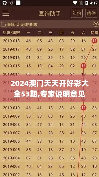 2024澳门天天开好彩大全53期,专家说明意见_优雅版WAH7.19