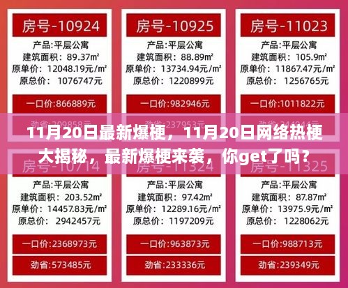 11月20日网络爆梗大揭秘，最新热梗来袭，你get了吗？