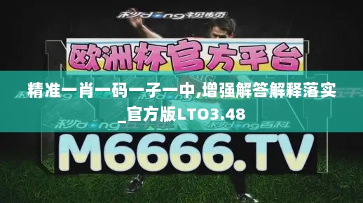 精准一肖一码一子一中,增强解答解释落实_官方版LTO3.48