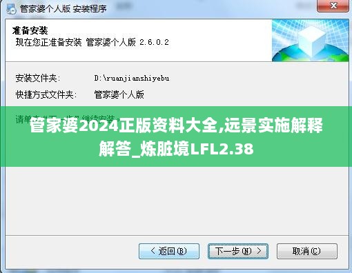 管家婆2024正版资料大全,远景实施解释解答_炼脏境LFL2.38