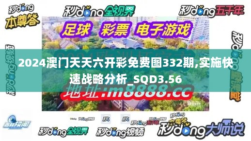 2024澳门天天六开彩免费图332期,实施快速战略分析_SQD3.56