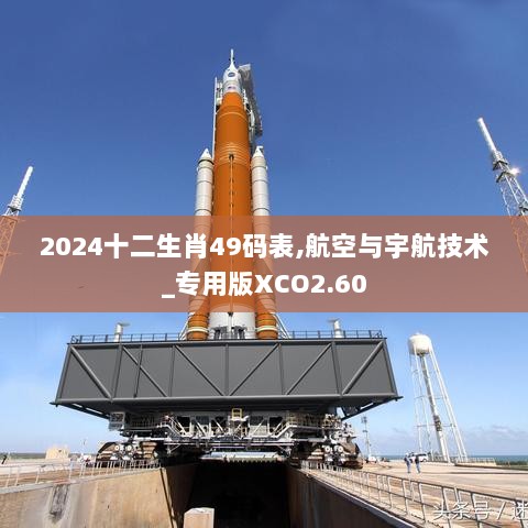 2024十二生肖49码表,航空与宇航技术_专用版XCO2.60