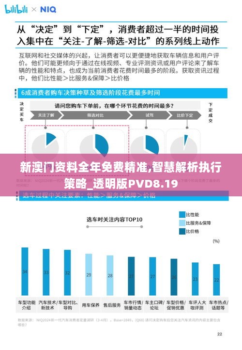 新澳门资料全年免费精准,智慧解析执行策略_透明版PVD8.19