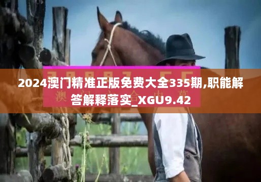 2024澳门精准正版免费大全335期,职能解答解释落实_XGU9.42