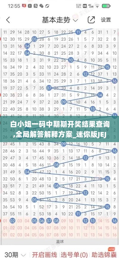 白小姐一码中期期开奖结果查询,全局解答解释方案_迷你版JEJ4.11