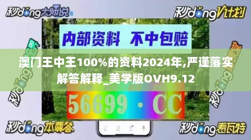 澳门王中王100%的资料2024年,严谨落实解答解释_美学版OVH9.12