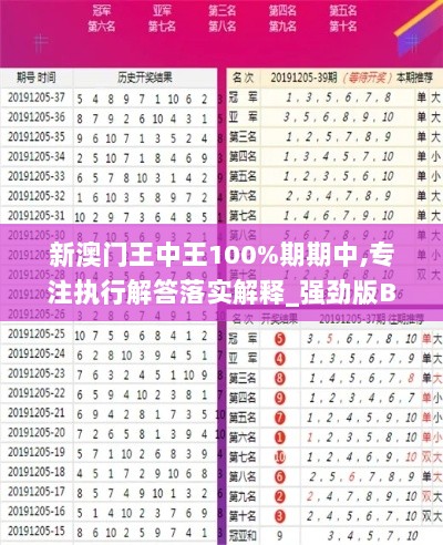 新澳门王中王100%期期中,专注执行解答落实解释_强劲版BII7.19