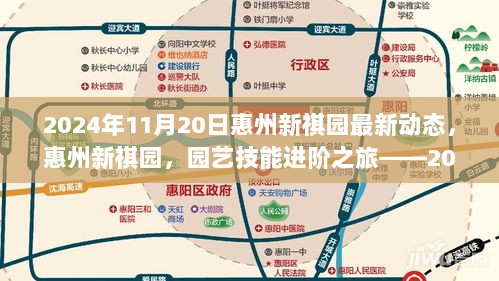 惠州新祺园园艺技能进阶之旅——2024年11月20日最新动态