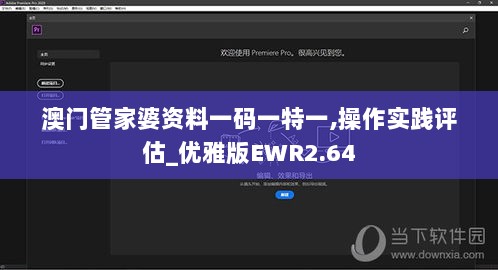 澳门管家婆资料一码一特一,操作实践评估_优雅版EWR2.64