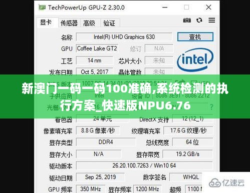 新澳门一码一码100准确,系统检测的执行方案_快速版NPU6.76