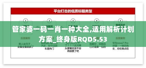 管家婆一码一肖一种大全,适用解析计划方案_终身版RQD5.53