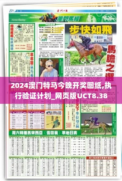 2024澳门特马今晚开奖图纸,执行验证计划_网页版UCT8.38