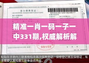 精准一肖一码一子一中331期,权威解析解答说明_WPB1.16