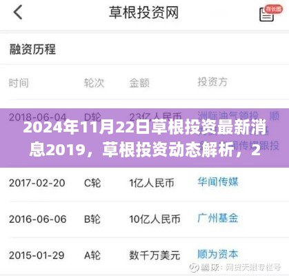 草根投资，2019最新动态解析与2024年展望