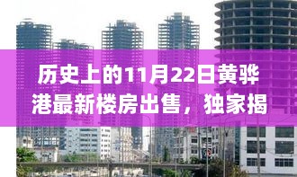 11月22日黄骅港隐藏版小巷房源揭秘与特色小店背后的神秘宝藏