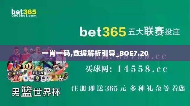 一肖一码,数据解析引导_BOE7.20