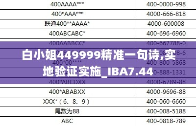 白小姐449999精准一句诗,实地验证实施_IBA7.44