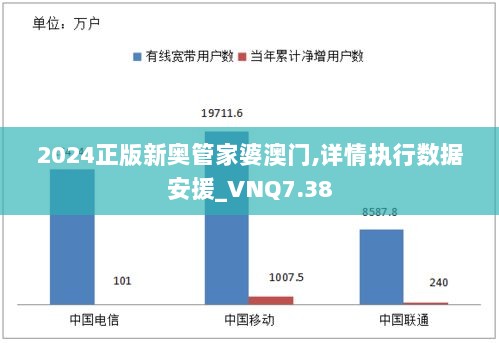 2024正版新奥管家婆澳门,详情执行数据安援_VNQ7.38