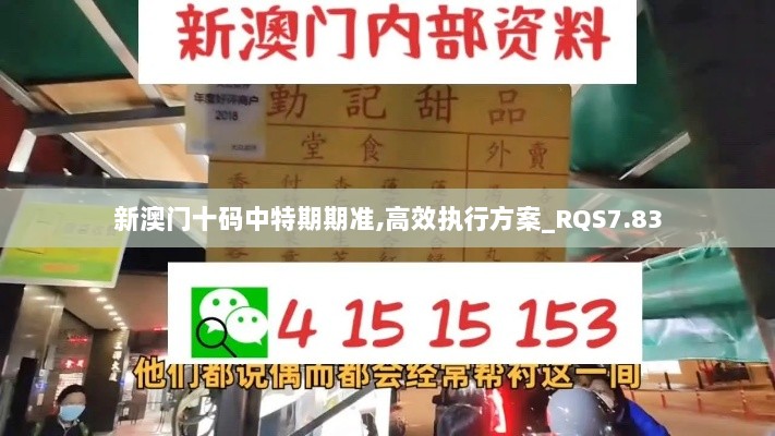 新澳门十码中特期期准,高效执行方案_RQS7.83