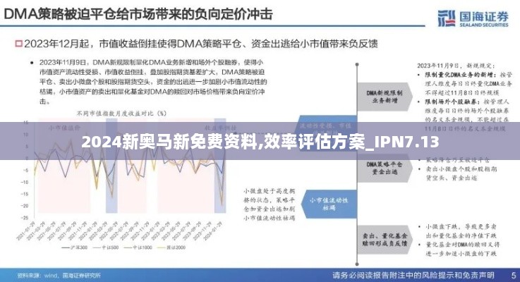 2024新奥马新免费资料,效率评估方案_IPN7.13