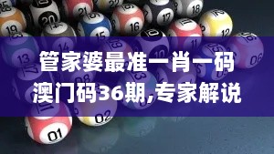 管家婆最准一肖一码澳门码36期,专家解说解释定义_MCA7.67