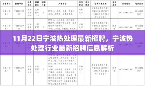 11月22日宁波热处理行业最新招聘信息解析与解读