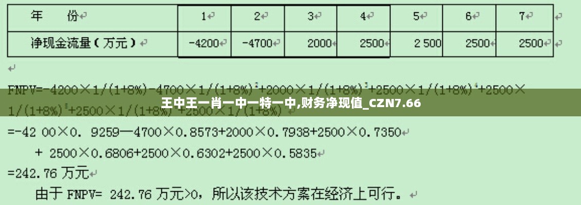 王中王一肖一中一特一中,财务净现值_CZN7.66