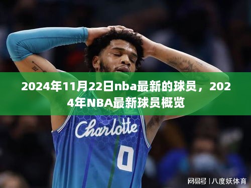 2024年NBA最新球员概览