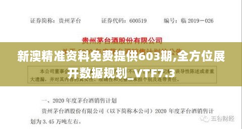 新澳精准资料免费提供603期,全方位展开数据规划_VTF7.3