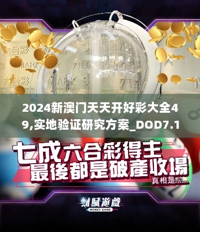 2024新澳门天天开好彩大全49,实地验证研究方案_DOD7.17