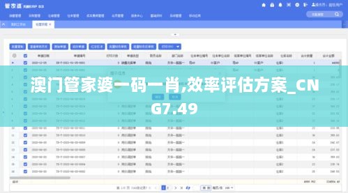 澳门管家婆一码一肖,效率评估方案_CNG7.49