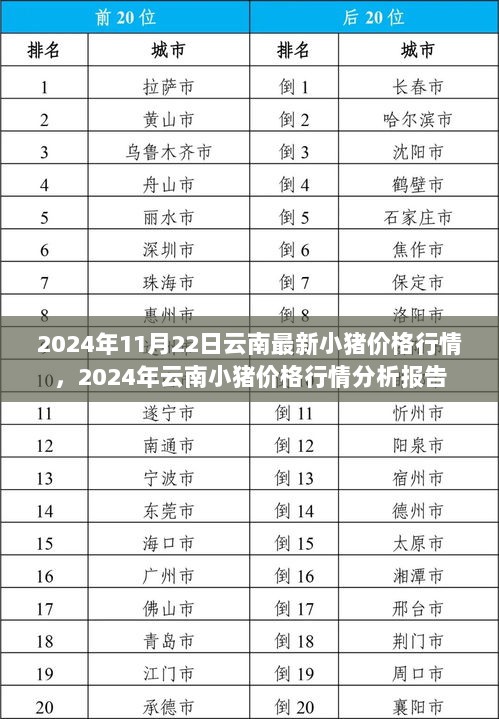 2024年11月22日云南小猪价格行情分析报告