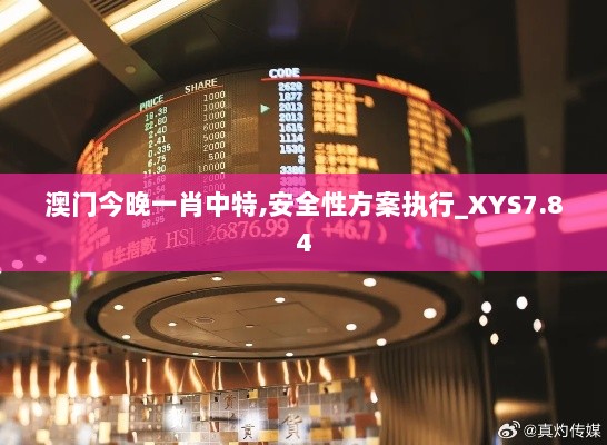 澳门今晚一肖中特,安全性方案执行_XYS7.84