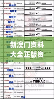 新澳门资料大全正版资料六肖,实地验证策略具体_IAW7.50