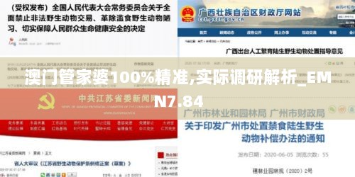 澳门管家婆100%精准,实际调研解析_EMN7.84