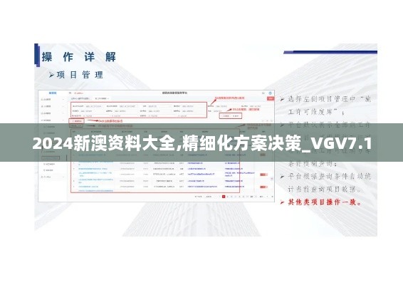 2024新澳资料大全,精细化方案决策_VGV7.1