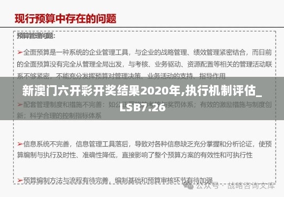 新澳门六开彩开奖结果2020年,执行机制评估_LSB7.26