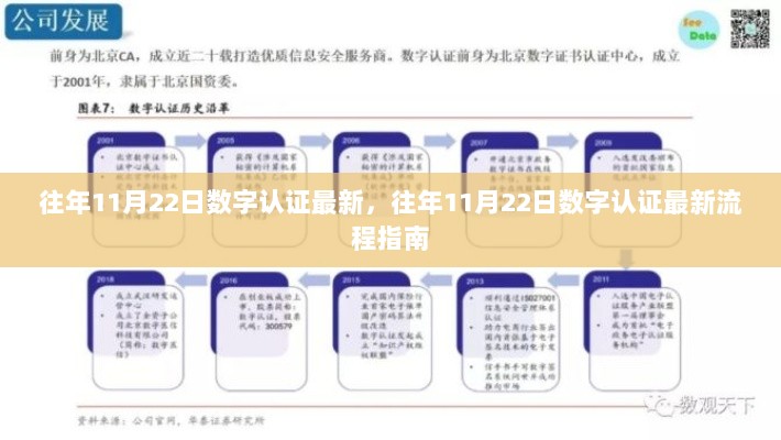 往年11月22日数字认证最新流程指南