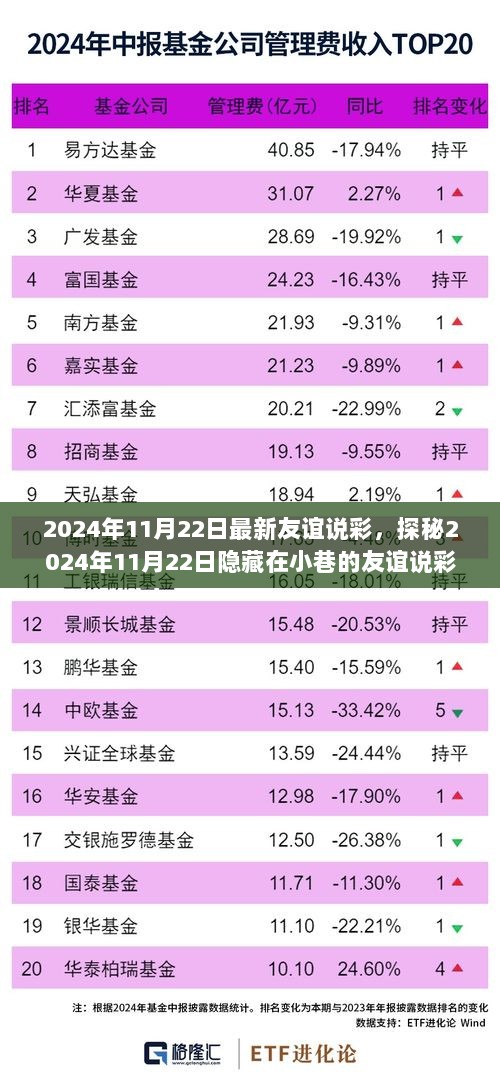 2024年11月22日友谊说彩探秘，小巷彩梦寻宝之旅的惊喜邂逅