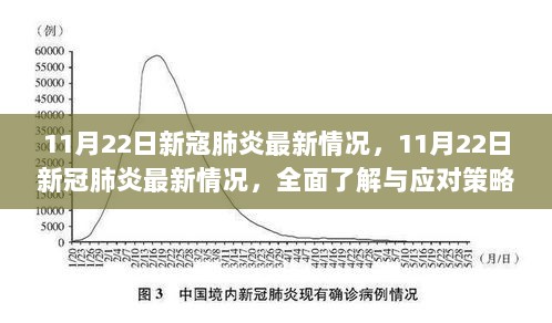 11月22日新冠肺炎最新情况与全面应对策略的步骤指南