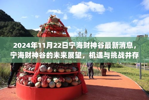 宁海财神谷2024年展望，机遇与挑战共存的最新动态