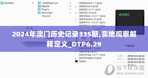 2024年澳门历史记录335期,实地观察解释定义_DTP6.29