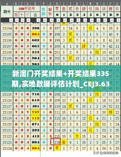 新澳门开奖结果+开奖结果335期,实地数据评估计划_CEJ3.63